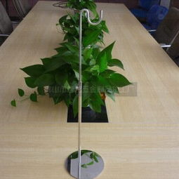 不锈钢挂包架 实用与美观的完美结合